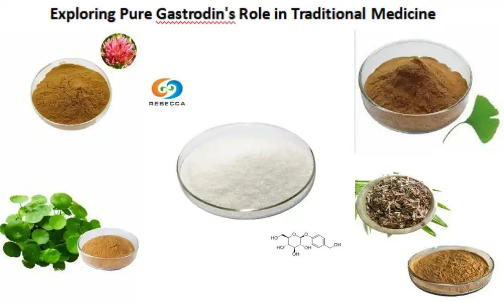 Exploring Pure Gastrodin's Role in Traditional Medicine